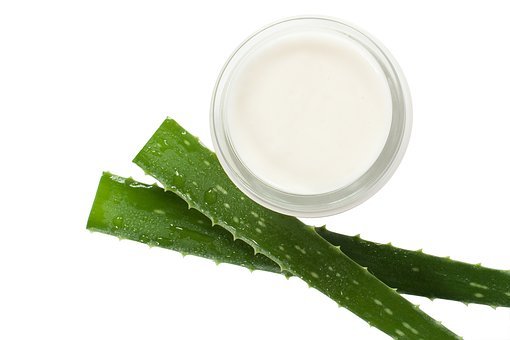 aloe vera bio